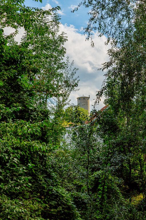 Image: _JA 40780 Natur und Wasserturm.jpg